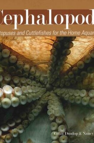 Cover of Cephalopods