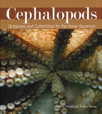 Cover of Cephalopods