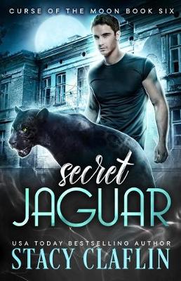 Book cover for Secret Jaguar