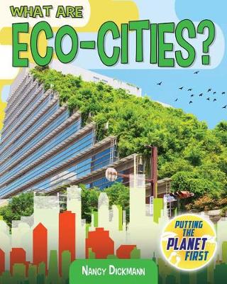 Book cover for What Are Eco-Cities?