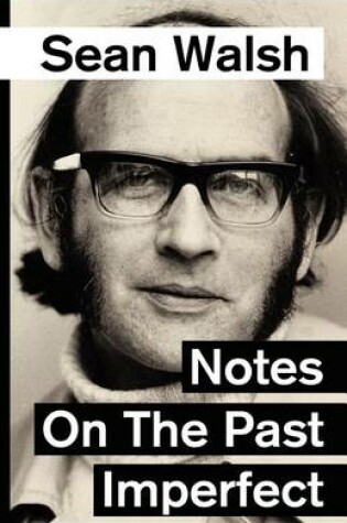 Cover of Notes on the Past Imperfect.