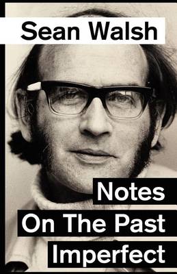 Book cover for Notes on the Past Imperfect.