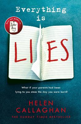 Book cover for Everything Is Lies