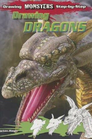 Cover of Drawing Dragons