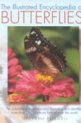 Cover of The Illustrated Encyclopedia of Butterflies