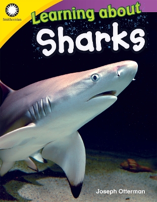 Book cover for Learning about Sharks