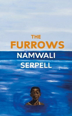 Book cover for The Furrows