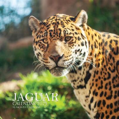 Book cover for Jaguar Calendar 2021