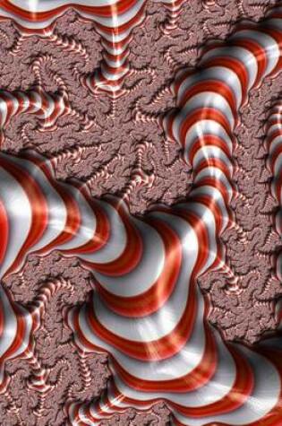 Cover of Website Password Organizer Candy Cane Fractal