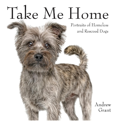 Book cover for Take Me Home!