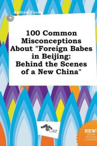 Cover of 100 Common Misconceptions about Foreign Babes in Beijing