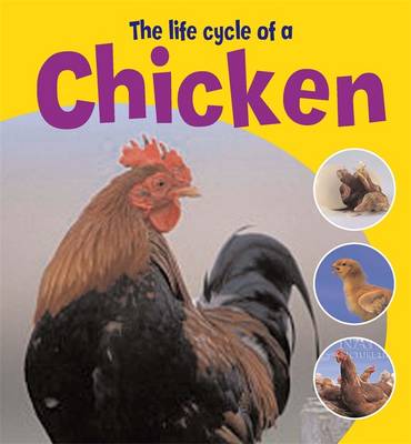 Book cover for The Life Cycle of a Chicken