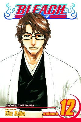 Book cover for Bleach, Vol. 12