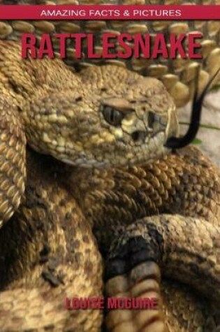 Cover of Rattlesnake