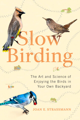 Book cover for Slow Birding