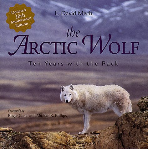 Book cover for The Arctic Wolf