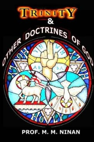 Cover of Trinity & Other Doctrines of God