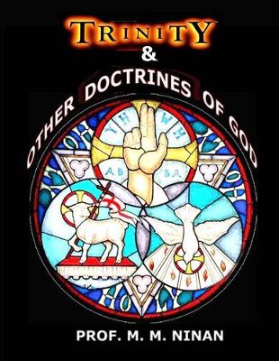 Book cover for Trinity & Other Doctrines of God