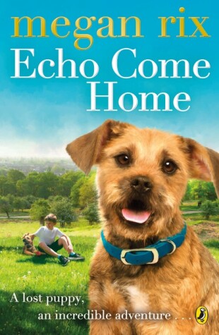 Book cover for Echo Come Home