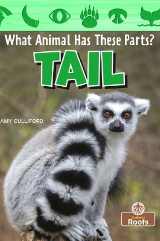 Cover of Tail