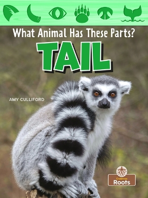 Book cover for Tail