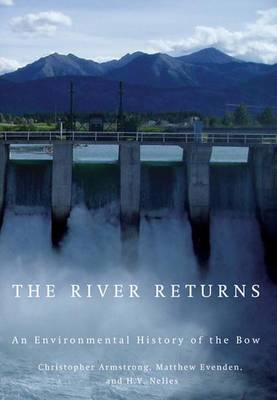 Book cover for The River Returns