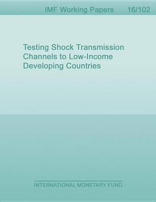 Book cover for Testing Shock Transmission Channels to Low-Income Developing Countries