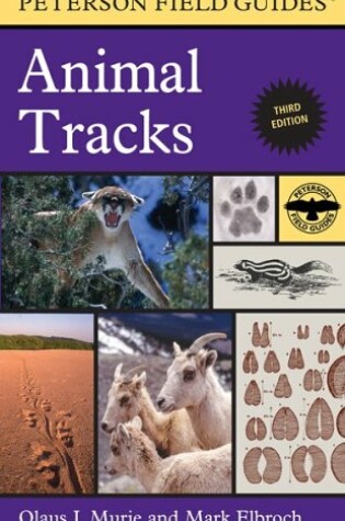 Cover of A Field Guide to Animal Tracks