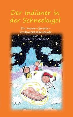 Book cover for Der Indianer in der Schneekugel