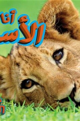 Cover of Lion