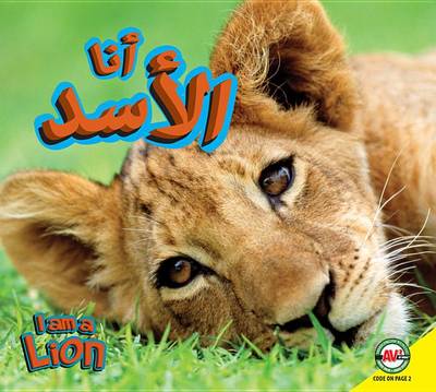 Cover of Lion