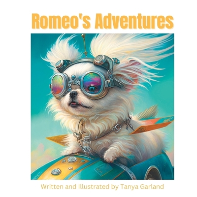 Cover of Romeo's Adventures