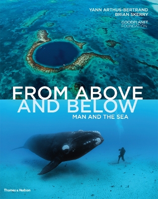 Book cover for From Above and Below