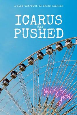 Book cover for Icarus Was Pushed
