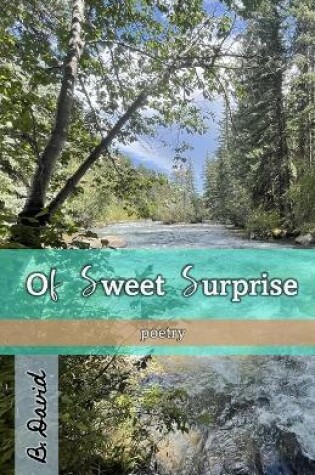 Cover of Of Sweet Surprise