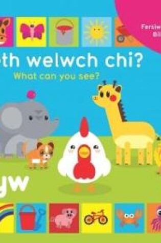 Cover of Beth Welwch Chi? What Can You See? Cyw