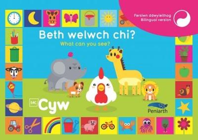 Book cover for Beth Welwch Chi? What Can You See? Cyw