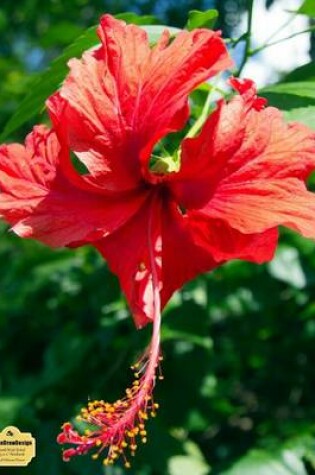 Cover of Writedrawdesign Notebook, Blank/Wide Ruled, 8.5 X 11 Inches, Red Hibiscus Flower