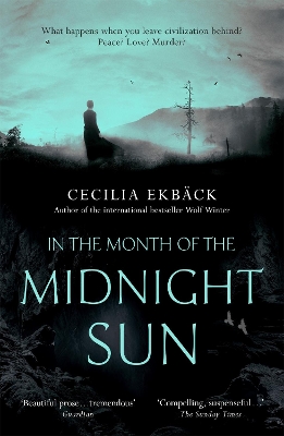 Book cover for In the Month of the Midnight Sun
