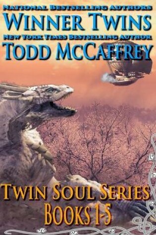 Cover of Twin Soul Series Omnibus 1