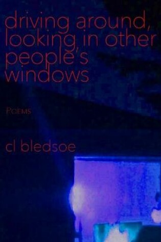 Cover of Driving Around, Looking in Other People's Windows