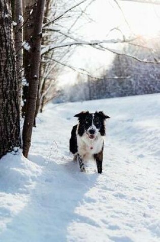 Cover of Cute Border Collie Dog in Snow