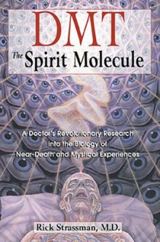 Cover of DMT: The Spirit Molecule