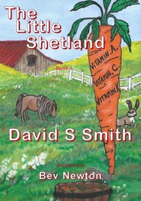 Book cover for The Little Shetland; Book 1