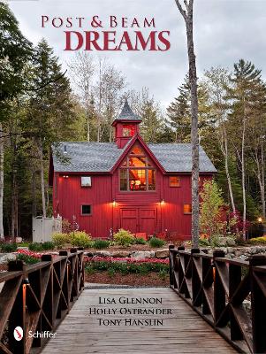 Book cover for Pt and Beam Dreams