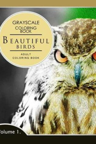 Cover of Beautiful Birds Volume 1