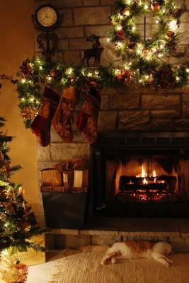 Book cover for The Fireplace Decorated for Christmas