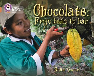 Book cover for Chocolate: from Bean to Bar