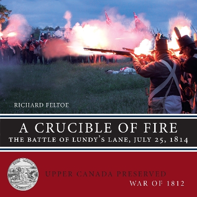 Book cover for A Crucible of Fire