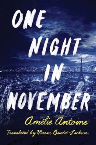 Cover of One Night in November